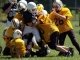 Limit youth practices says USA Football and Steelers