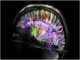 Brain wiring a no-brainer? (video)